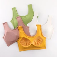 bralette 2021 soft comfort padded underwear seamless push up sports bra sexy u shaped back cotton lingerie streetwear crop top