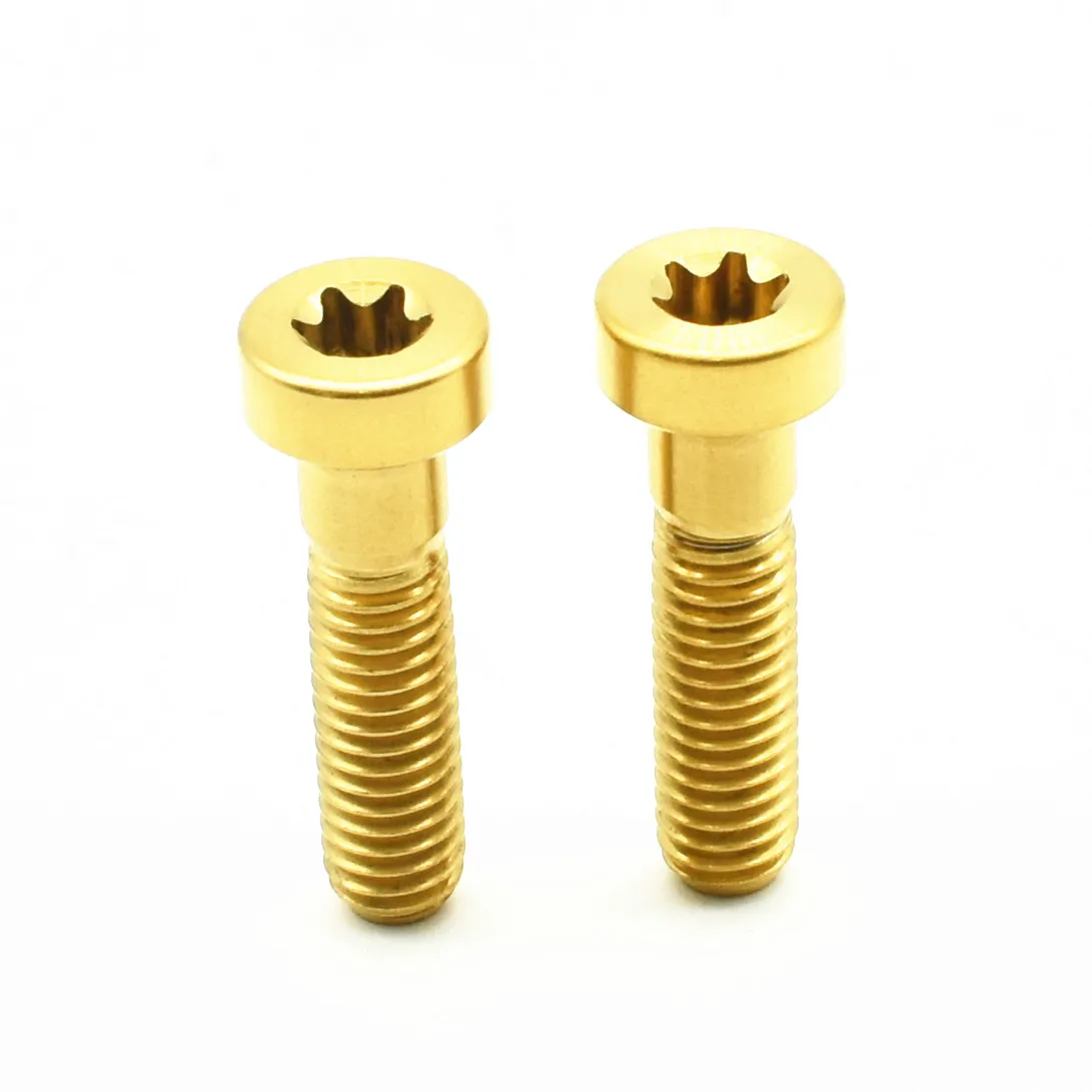 Титановые масляные тормозные Ti болты для SHIMANO XTR M8000/9000/9020 Avid DIY Torx m6x25 мм крепежная