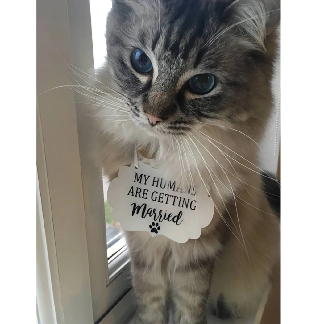 1 шт. Свадебный знак для собаки креативная надпись подвесная доска свадебное