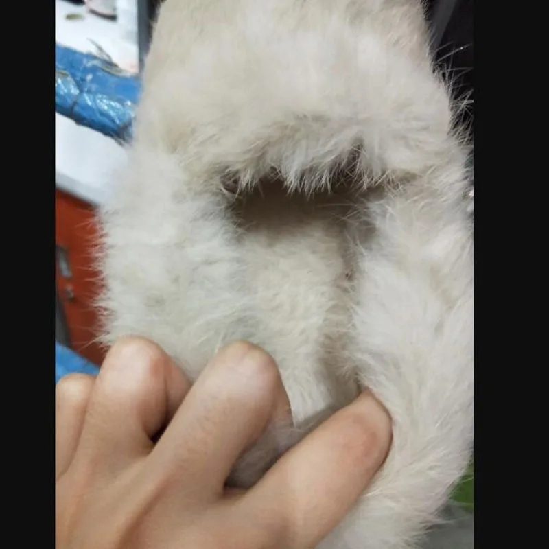 Женские меховые лоферы на плоской подошве модные теплые плюшевые кроличьем меху