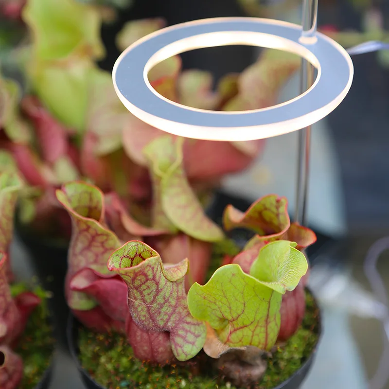 Бытовой рост растений лампа USB порт Ангел кольцо полный спектр солнцеподобных