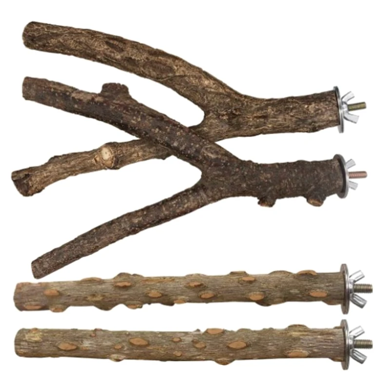 Accessories Bird Supplies