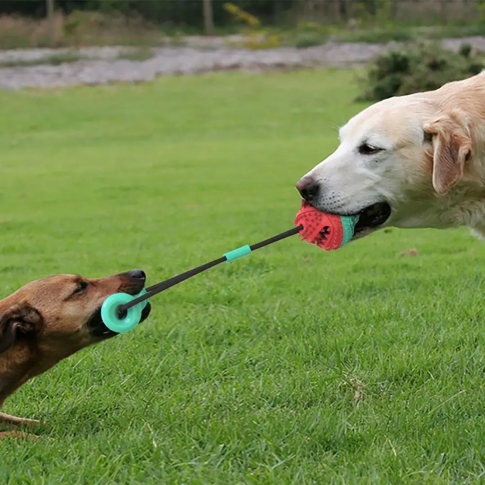 Teeth Rubber Bite Funny Puppy Training Ball Chew Toys Play Go Get Elastic Ropes Pet Tooth Cleaning Iq Exercise |