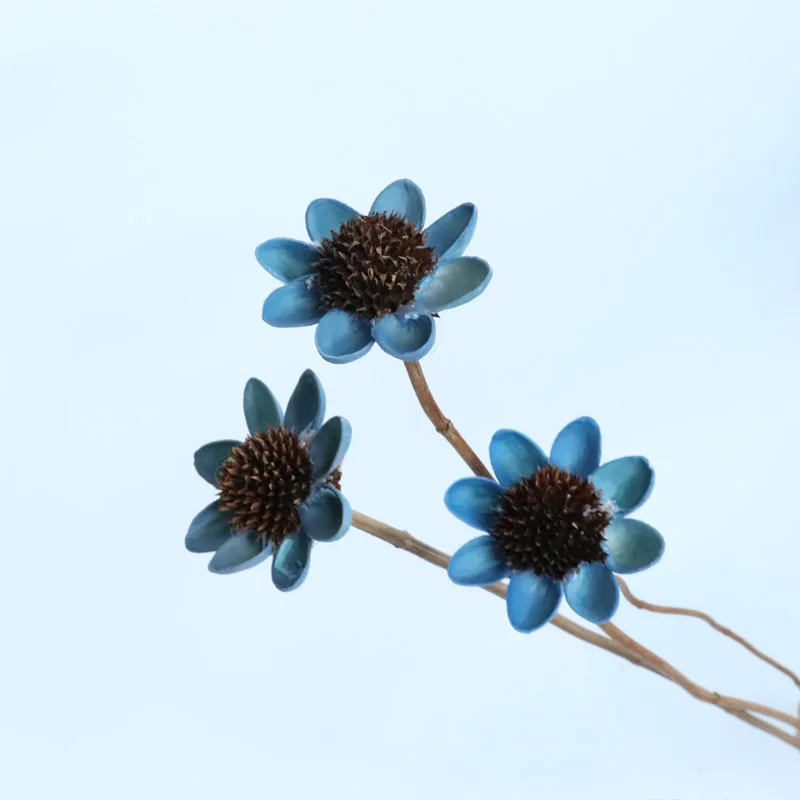 A ++ лучшие сушеные счастливые цветы 3 шт улыбающиеся милые Вечные Природные