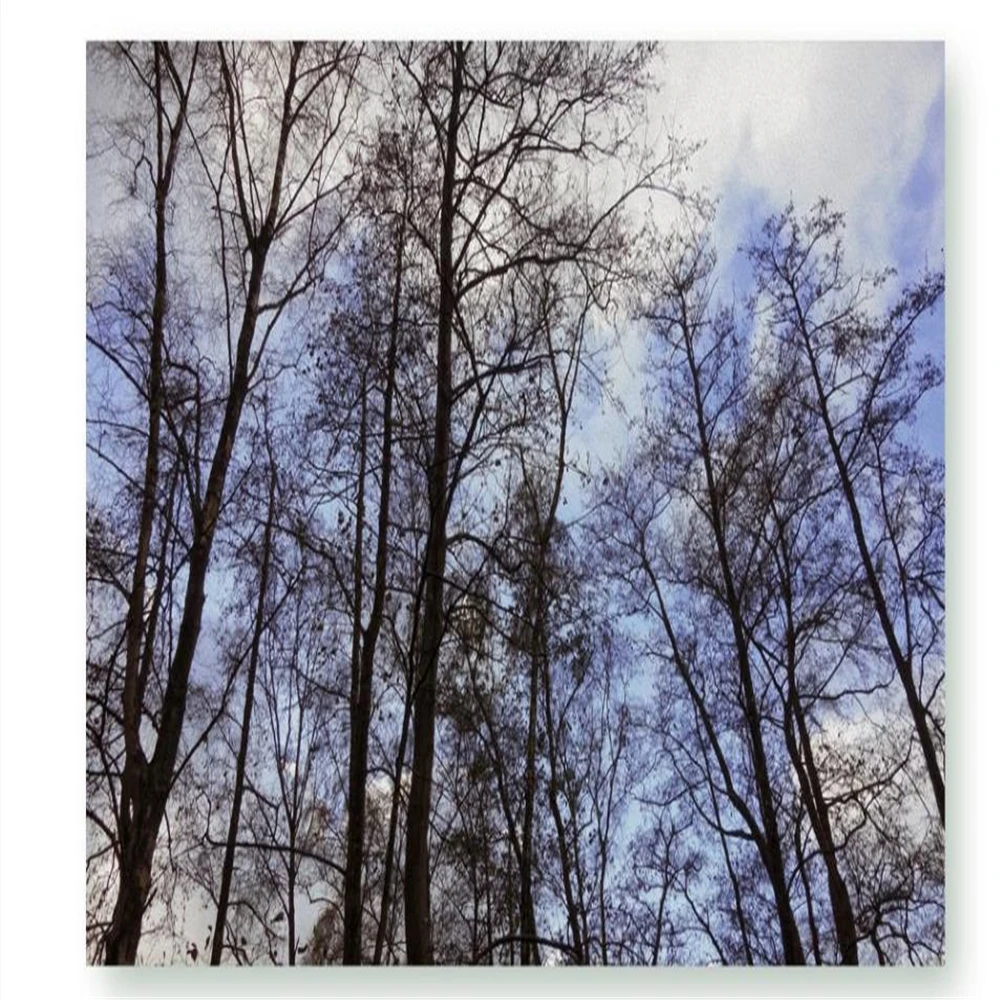 Nature forest 3d wallpapers primitive background wall painting beautiful scenery | Обустройство дома