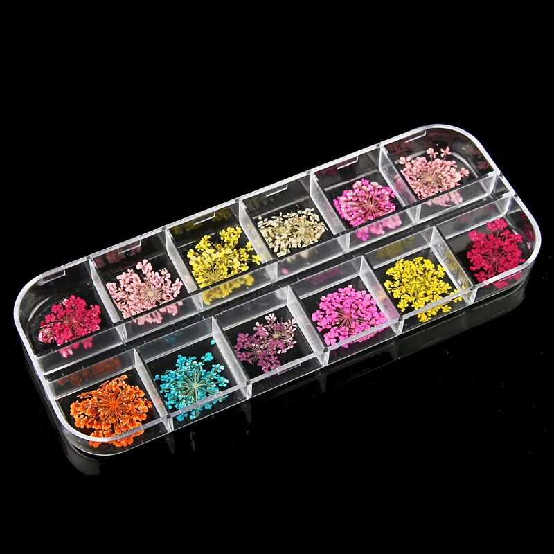 

NONE 24Pcs/Box Real Flower Nail Stickers 12 Colors 2 Kinds Of Dried True Flower Nail Art Jewelry Decals Manicure Decoration