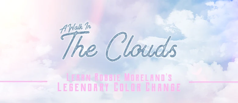 

Vanishing Inc A Walk In The Clouds by Robert Moreland,Magic Tricks