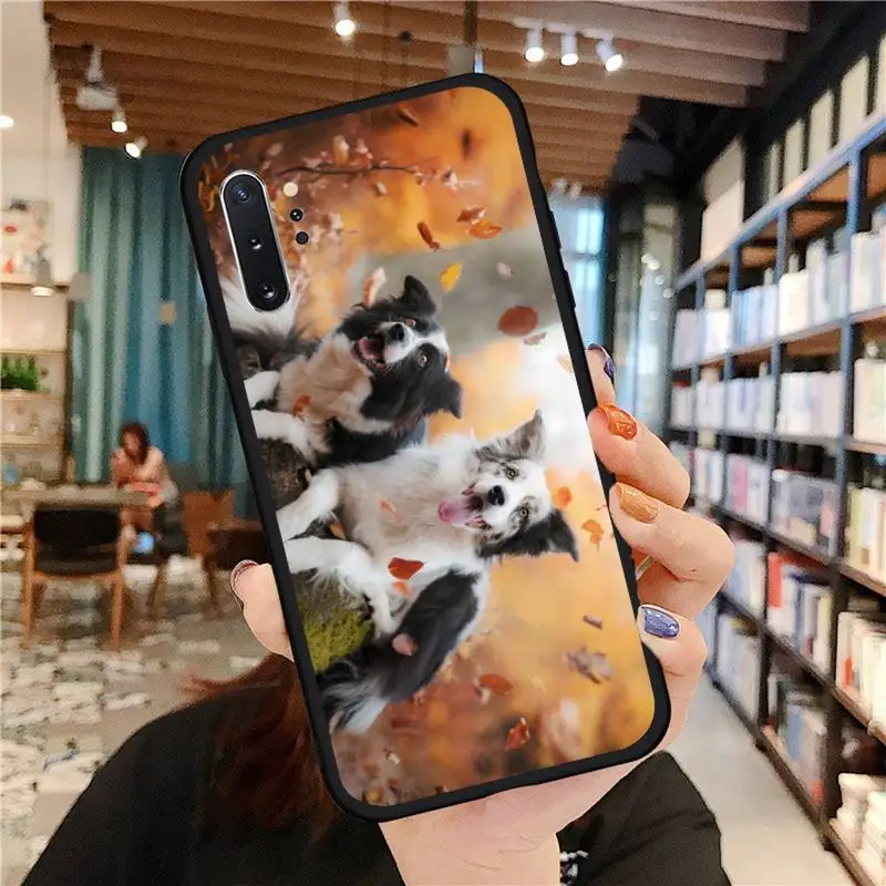 

Border Collie Dog Breed Phone Cases For Samsung A50 A51 A71 A20E A20S S10 S20 S21 S30 Plus ultra 5G M11 funda cover