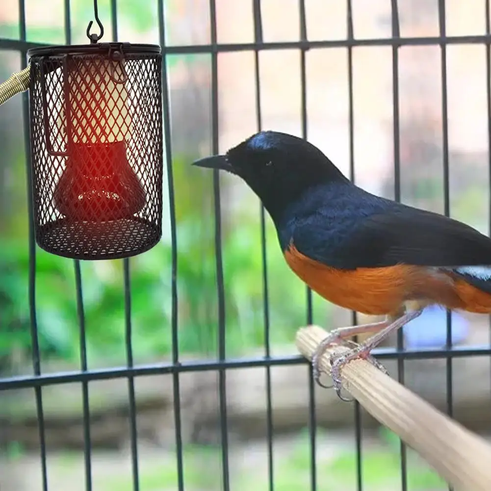 50/100 Вт нагревательная лампа для питомцев рептилия тепловая обогреватель