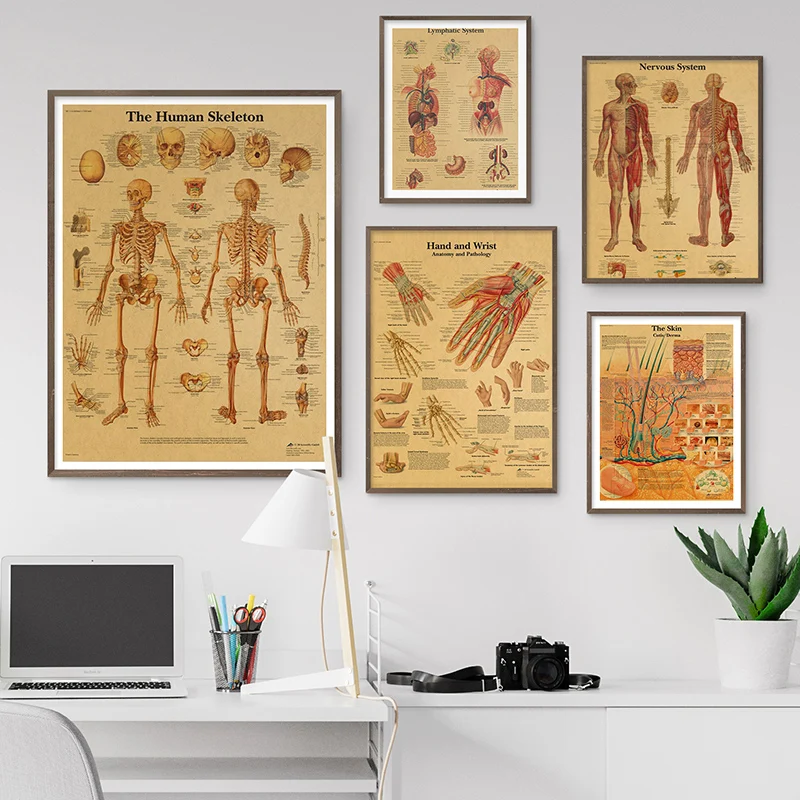 

The Body Structure Skeleton Nervous System Vintage Poster Wall Art Kraft Paper Wall Stickers Painting