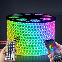 220v led light strip outdoor waterproof rgb 5050 tape phone app and 44 key remote control flexible lights room decoration lamp