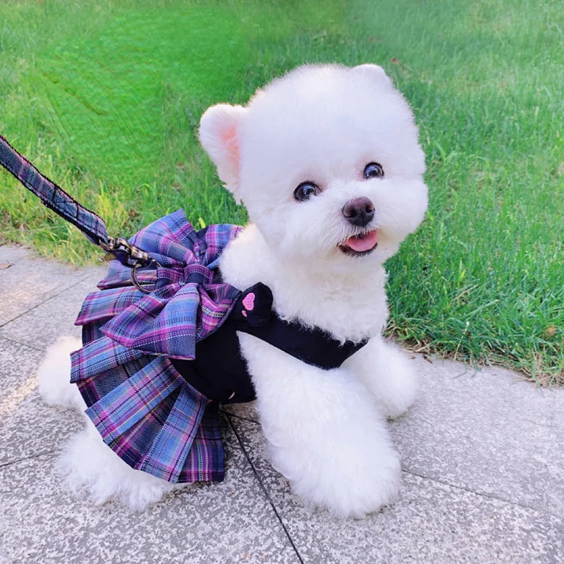 

Dog Cat Clothes Summer Spring Dog Dress with Harness Leash Chihuahua Bichon Cute Skirt for Small Dogs Luxury Puppy Dresses 2021