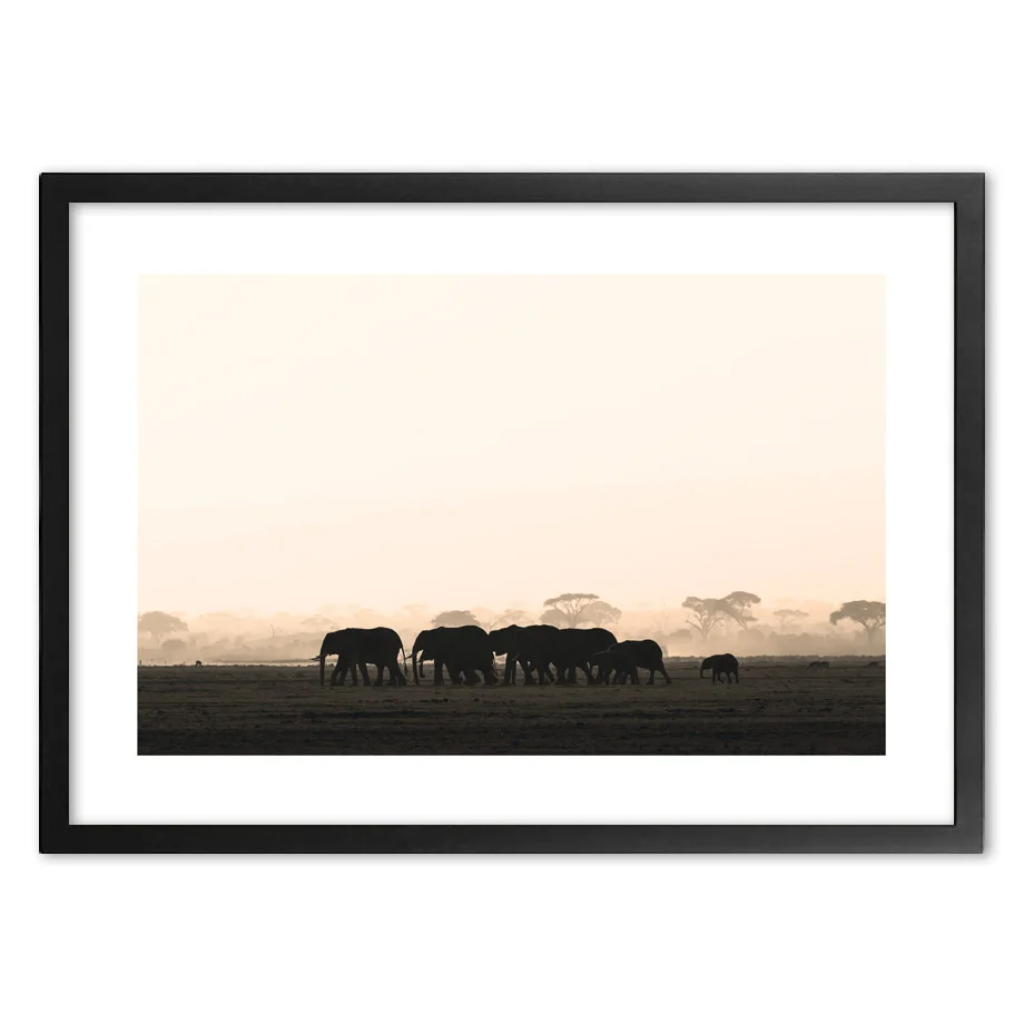 Фон для фотографий с изображением слона и стада|Рисование каллиграфия| |