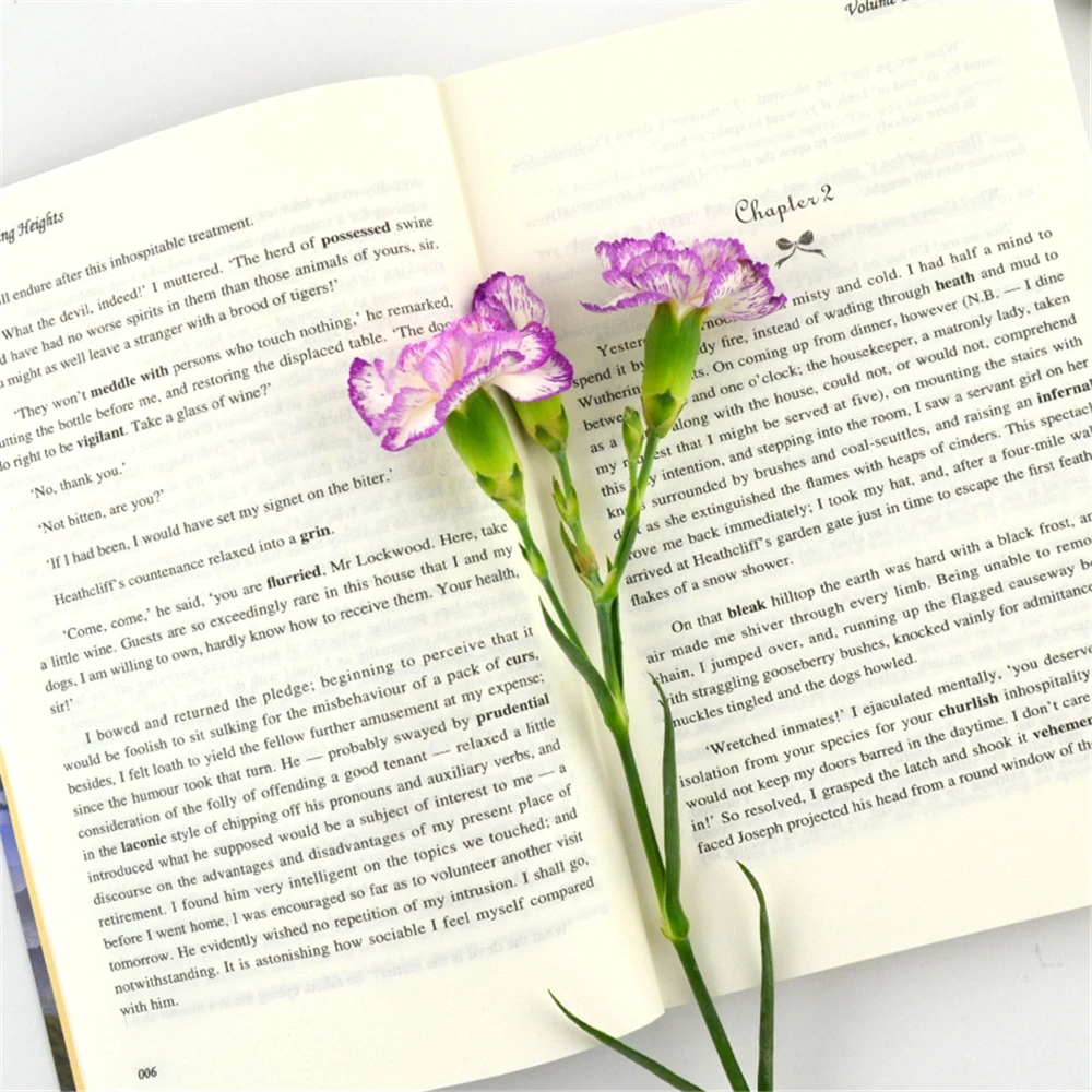 

English book Chinese-English bilingual color original edition (two volumes in Chinese and English set) [Wuthering Heights]