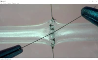 microsurgical suture training simulation of 1mm2mm blood vessels teaching model ultrathin neurosurgery surgery