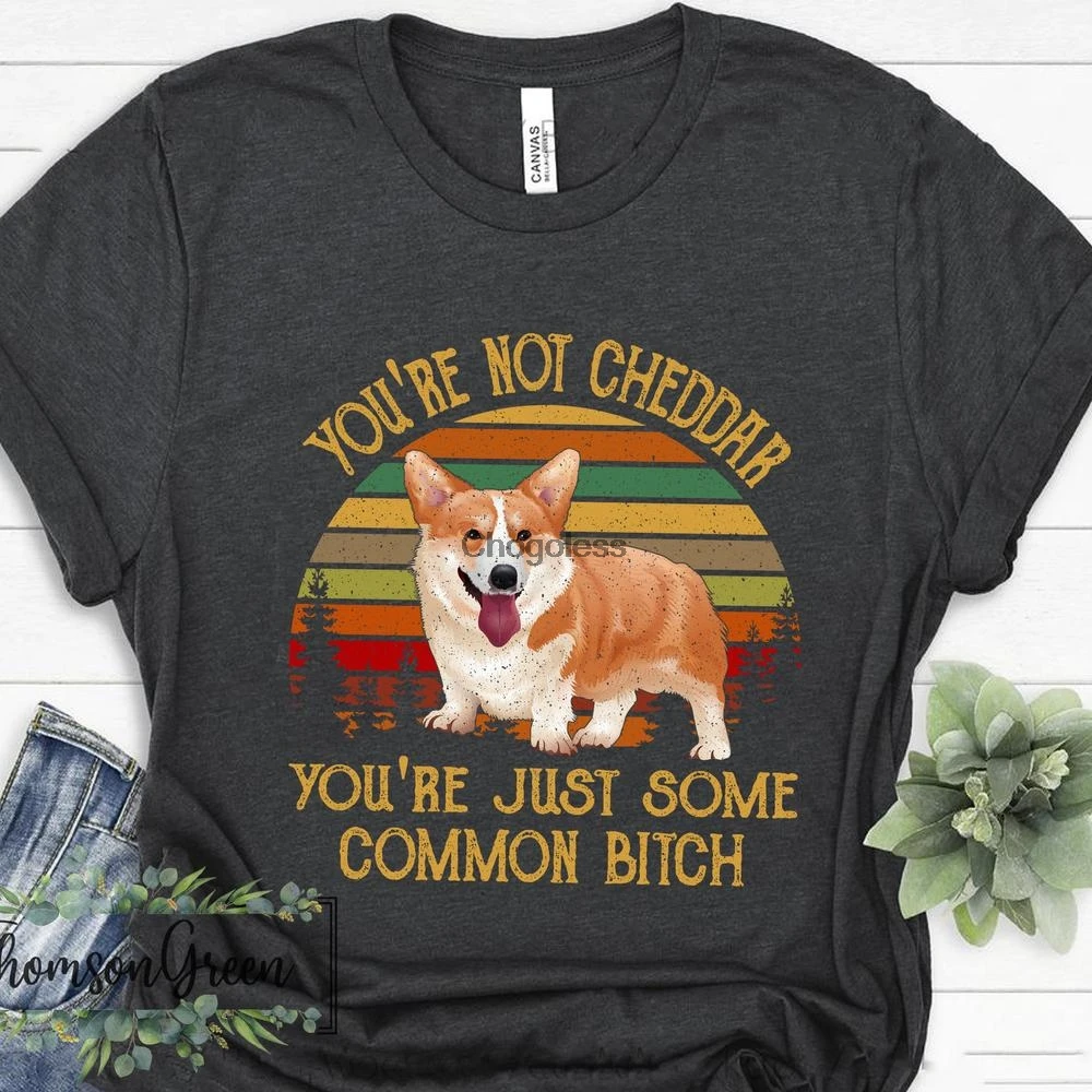 

You'Re Not Cheddar You'Re Just Some Common B Tch Shirt Vintage Corgi Dog T Shirt Brooklyn Nine Nine Funny Gift For Men Women