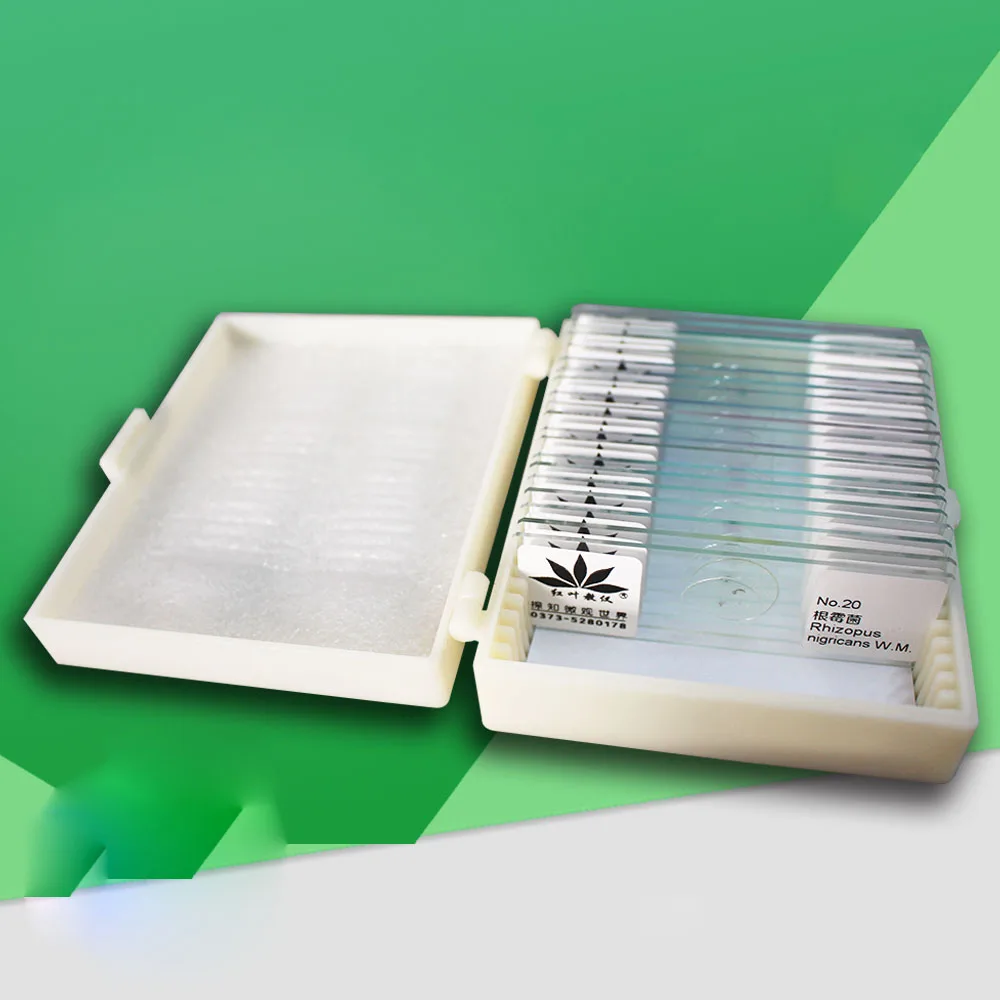 20 шт Профессиональные подготовленные микробов грибы бактерии окрашивания