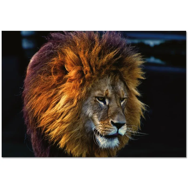 Оригинальная матерчатая Декор Фигурка животного Лев Красочные HD настенная ткань
