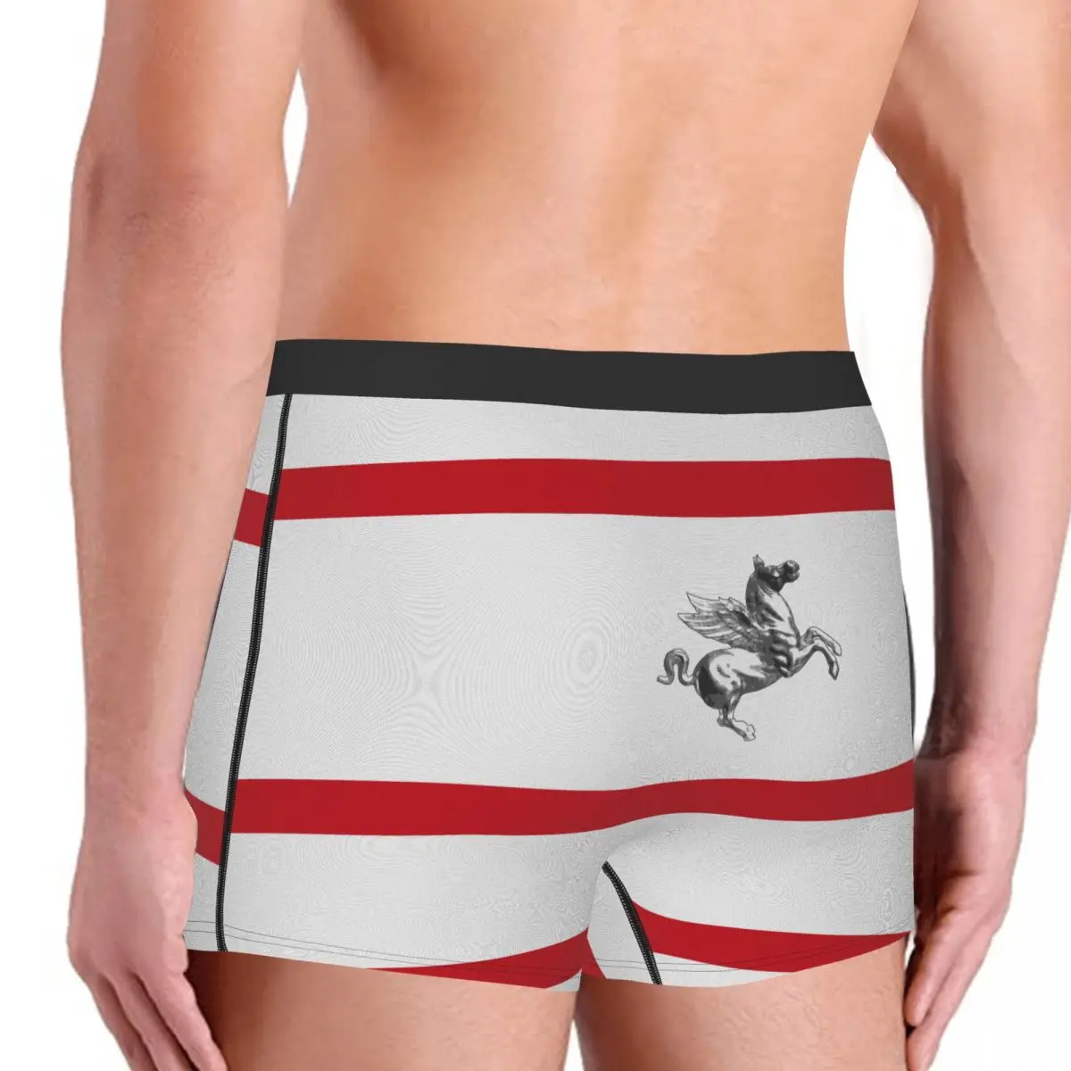 Flag Of Tuscany Men's Boxer Briefs regions of Italy Funny Novelty Men's boxer leggings