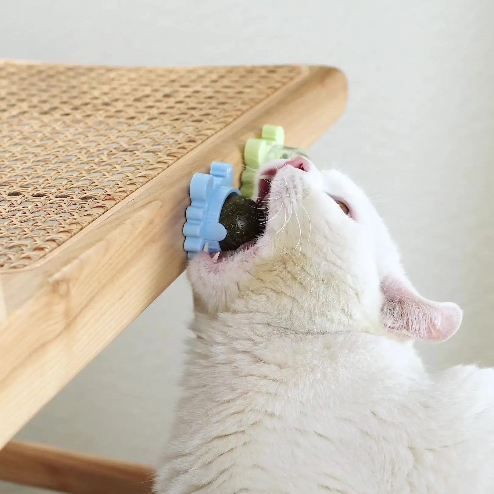 Healthy Cat Catnip Toys Ball Cat Candy Licking Snacks Nutrition Catnip Snack Nutrition Energy Ball Kitten Cat Toy Cat Supplies