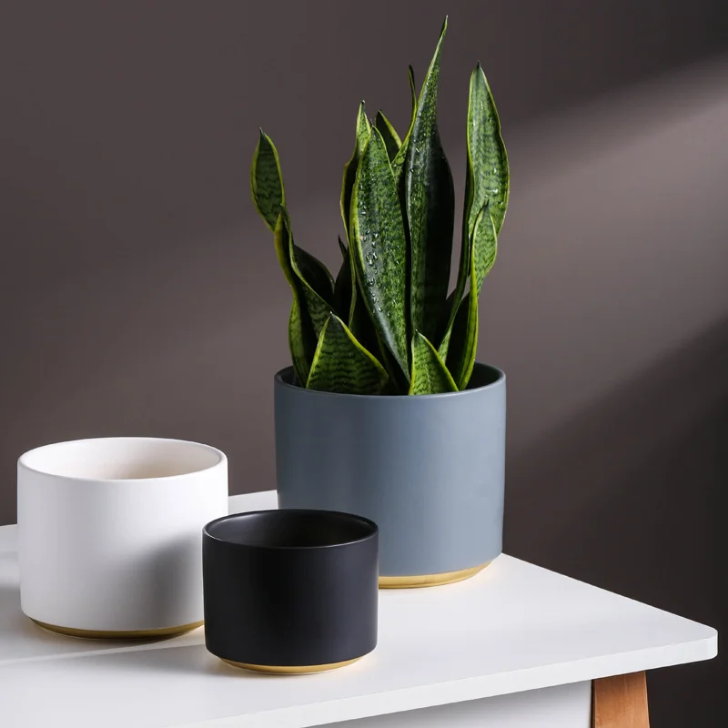 

Nordic ceramic large flower pot gold tracing white black vase green radish spider plant tiger skin succulent flowerpot simple