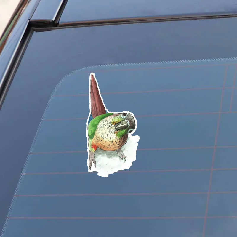 

Car-Sticker Automobiles Motorcycles Window Bumper Laptop Vinyl Decal PVC Decorative Goods 16cmx8cm Nice cartoon parrot