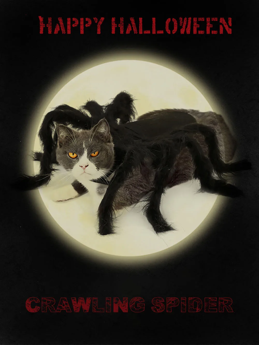 Забавная Одежда для собак ползающий костюм паука костюм для костюмированой Вечеринки На Хэллоуин для маленьких собак щенков котов наряд для вечеринки одежда для домашних животных S/M