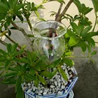 Комнатное автоматическое устройство для полива цветов и сада