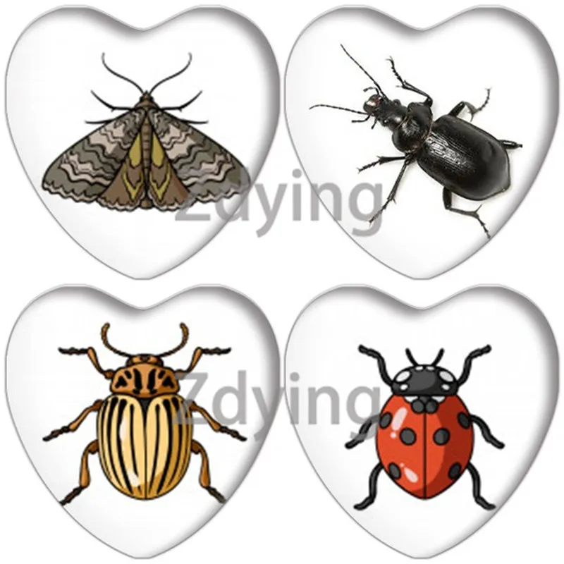 ZDYING 5 шт. сердце Форма Стекло кабошон насекомых Стрекоза бабочка фото/Бусины с