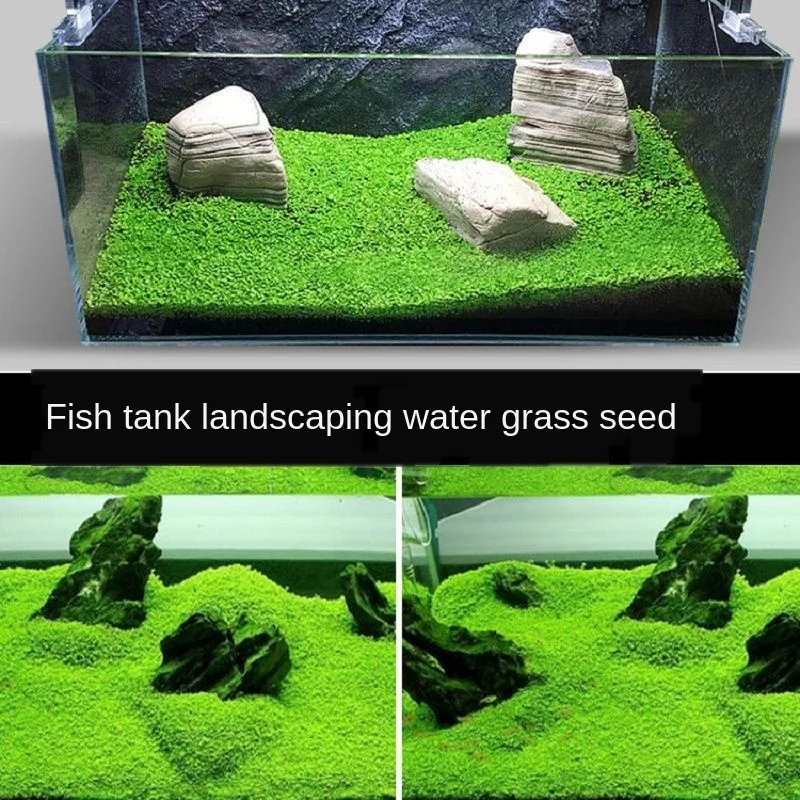 Aquarium decoration accessories Fish tank plants grass Simple operation and beautiful water purification | Дом и сад