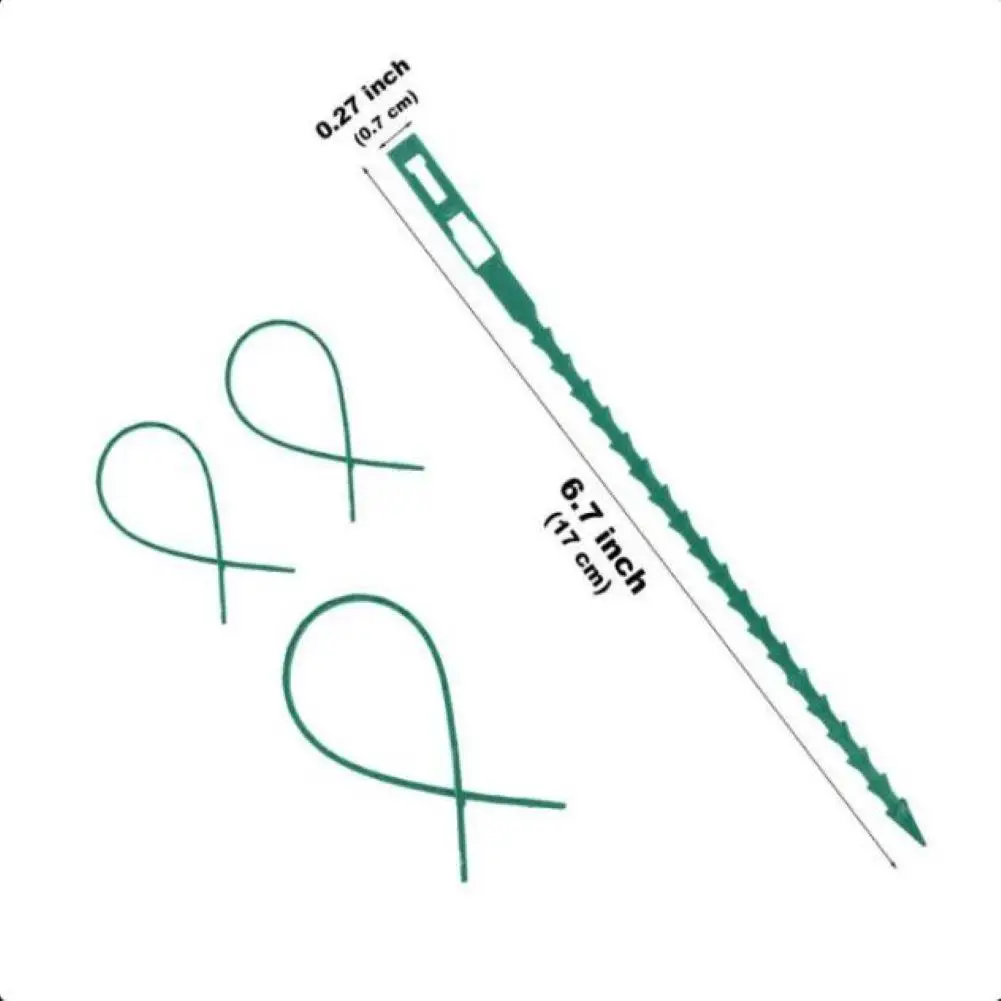 GloryStar 50 шт./компл. повязка в форме рыбьей кости зеленый пластиковый крепежный