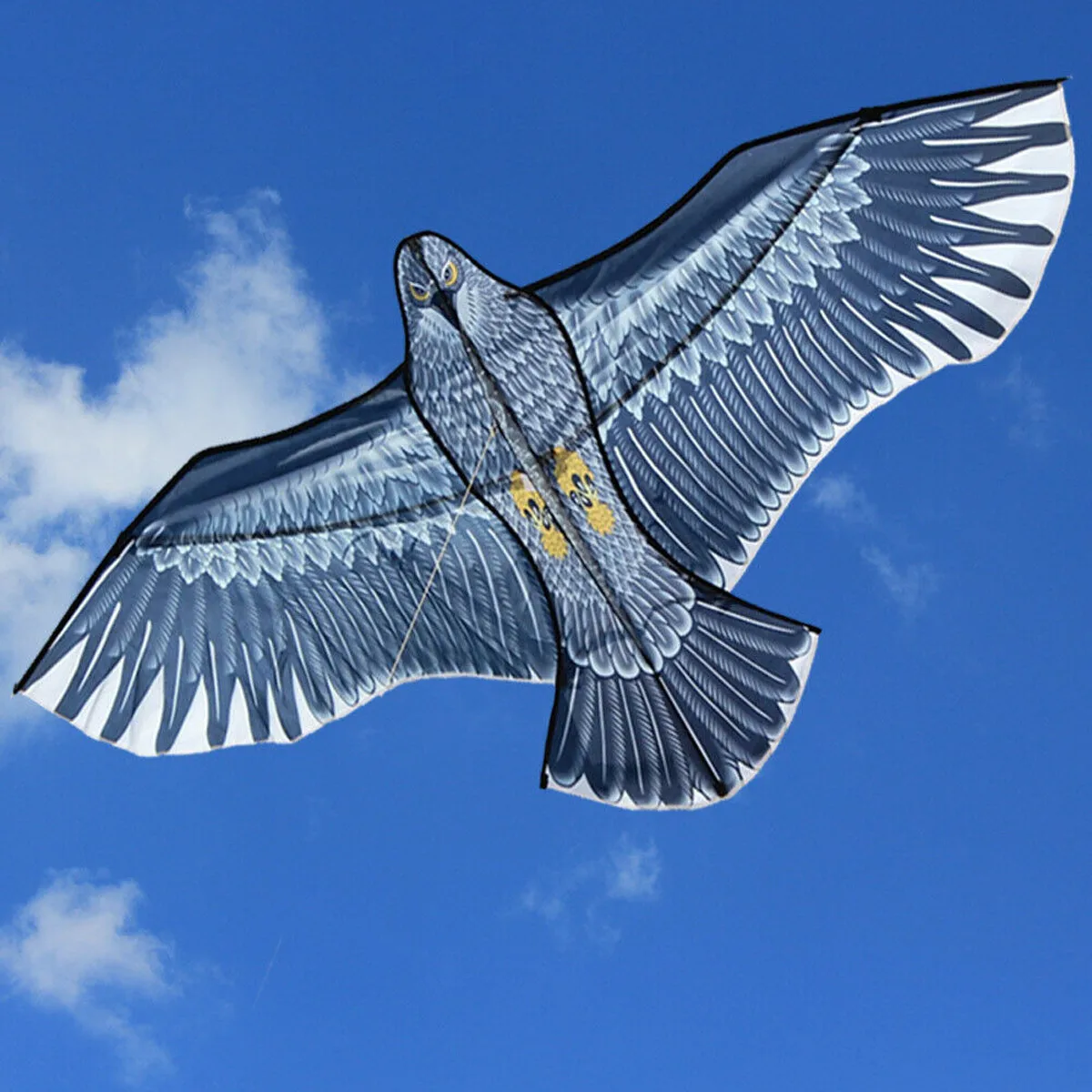 Новинка 3d 1 5 м плоский Орлан кайт большая летающая фотография для детей летающие
