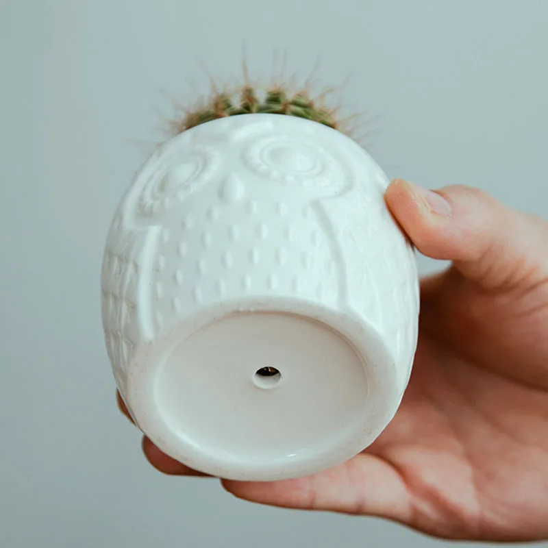 Домашнее украшение мини бонсай белый керамический цветочный плантатор