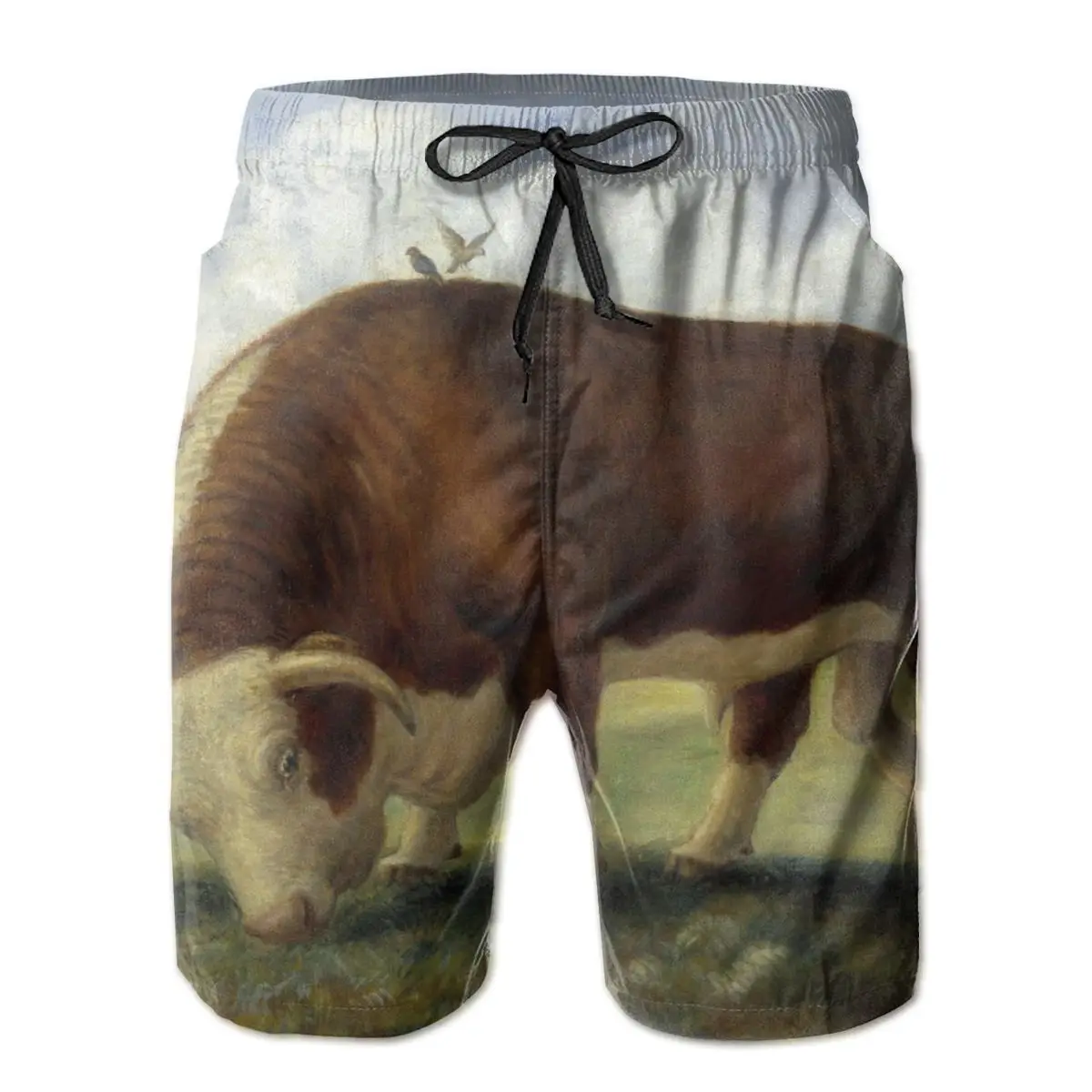 

Mens Swimwear Swim Shorts Trunks John Curry Art Painting Beach Shorts Swimming Swimsuits Mens Running Sports Surffing shorts
