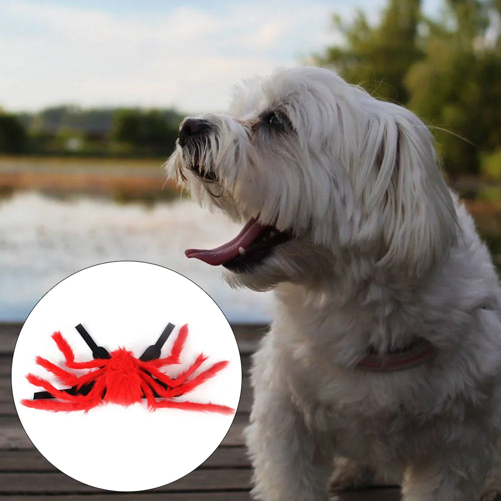 Одежда для хеллоуина с котом плащ пауком рождественской вечеринки