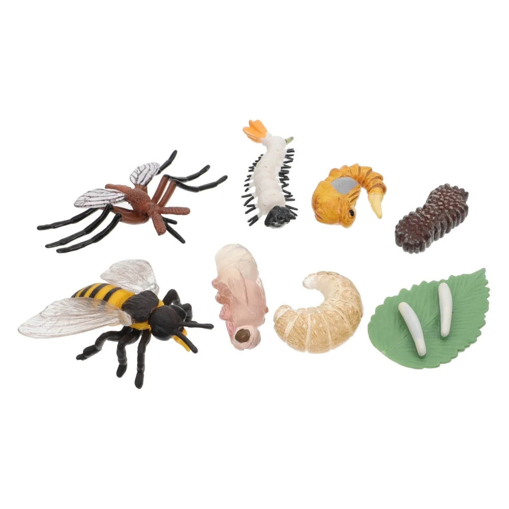 

2 Sets of Imitation Animal Life Cycle Models Kids Early Education Toys
