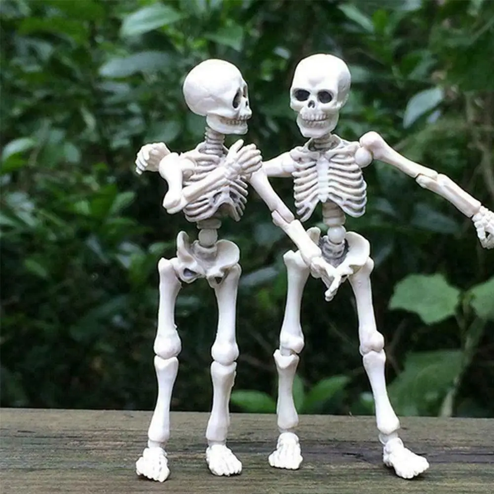 Подвижные кости скелет человеческая модель Череп фотоэлемент тела предметы