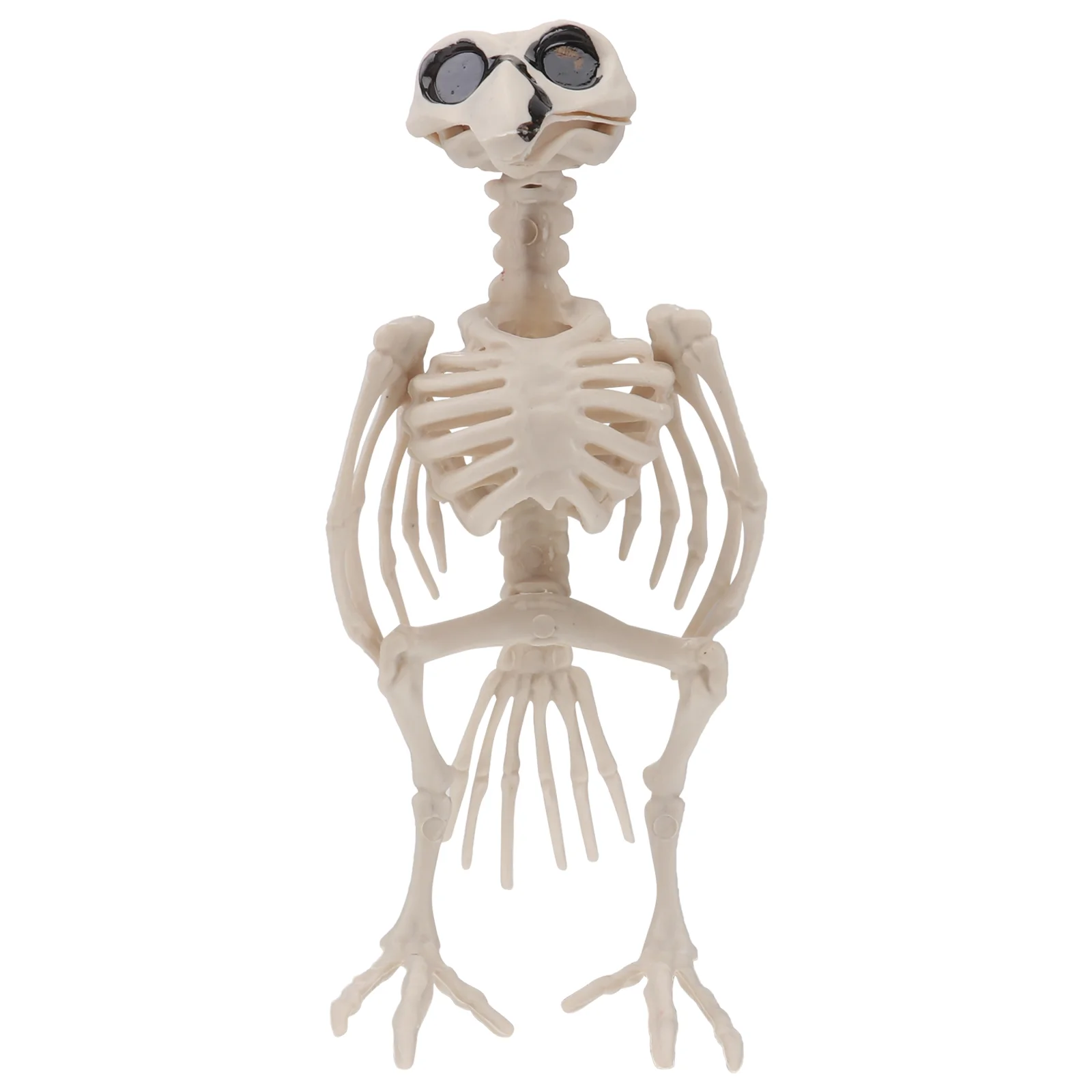 

Crazy Bone Skeleton Raven Plastic Animal Skeleton Bones Horror Decoration Prop Bird Crow Skeleton Decoration