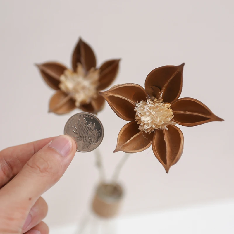 

Pure Handmade Ins Creative Wild Wooden Lotus Preserved Dried Mix Flower Arrangement Home Room Wedding Restaurant Art Decoration
