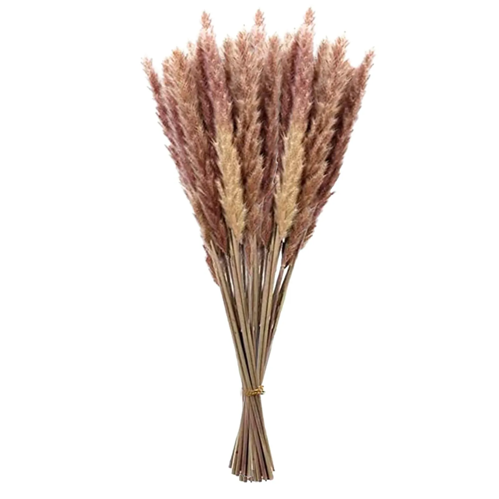 

50/100pc Dried Reed Flower Arrangement Natural Pampas Grass Phragmites Plants Bouquet For Modern Home Party Festival Decoration