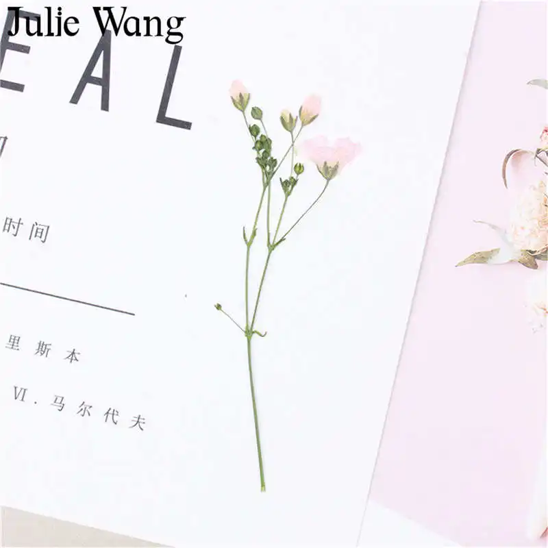 

Julie Wang 30PCS/Bunch Natural Dried Flowers Gypsophila Plant Specimen Epoxy Jewelry Making Accessory Phone Case Decoration