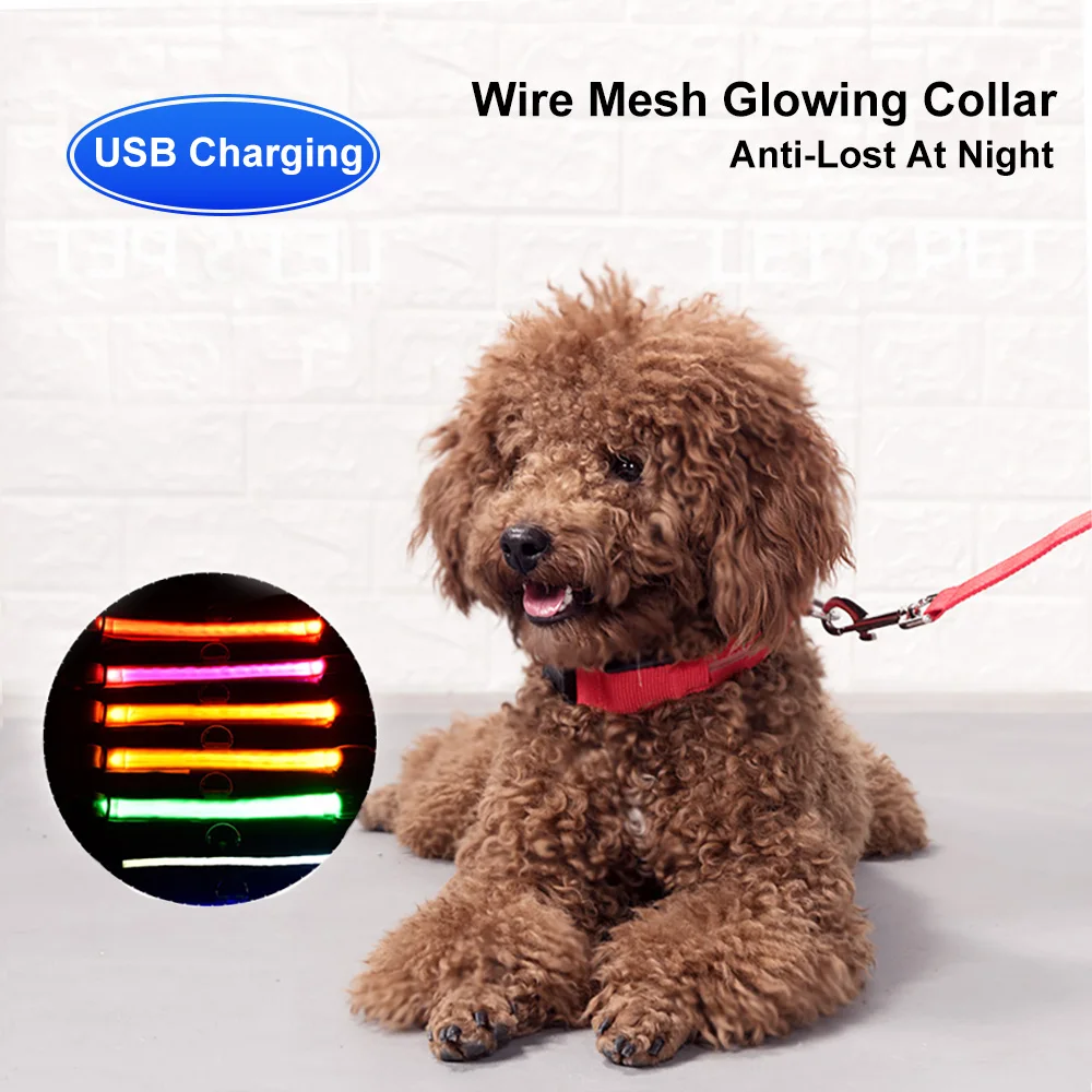 Светодиодный ошейник для собак с usb зарядкой защищающий от потери в ночное время