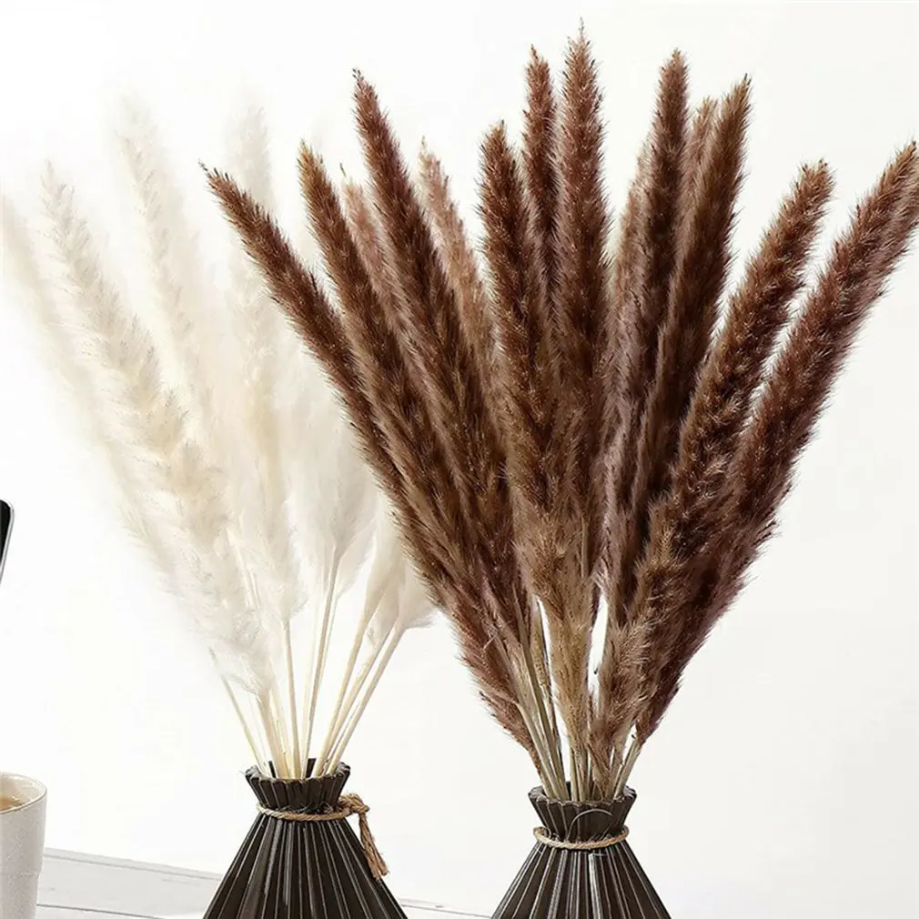 

44cm Pampas Grass Natural Reed Dried Flower Beige Fluffy Ceremony Valentine's Day Wedding Decoration Modern Home