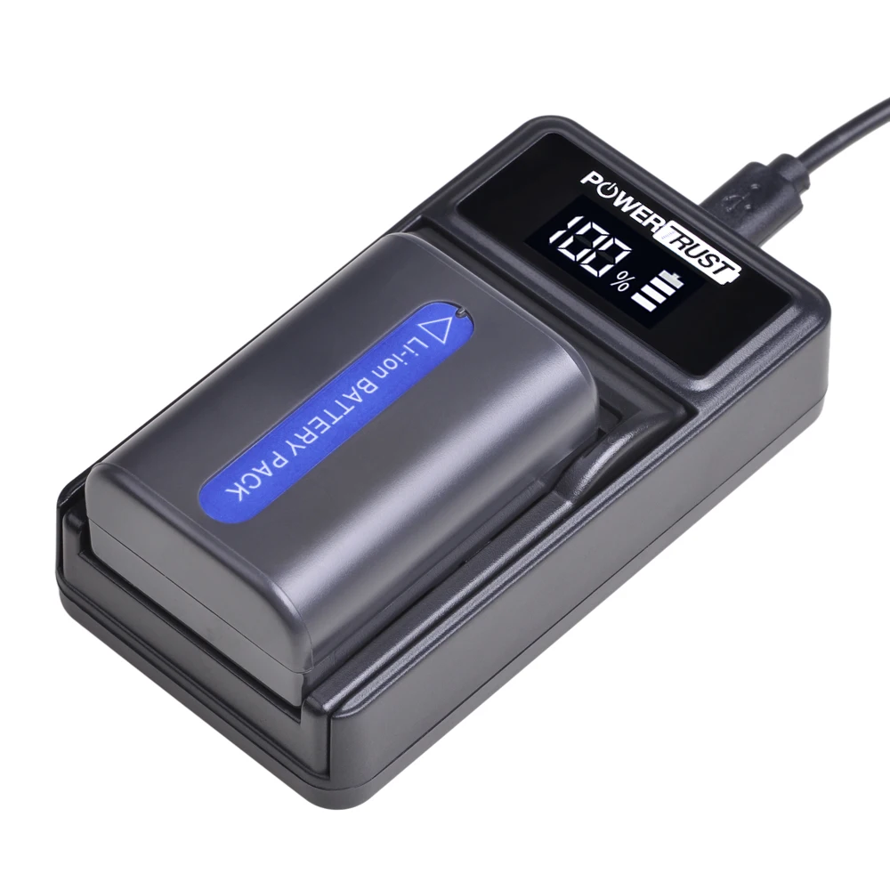 PowerTrust 2 шт. аккумулятор стандарта FM55H + зарядное устройство для USB-светодиодов Sony