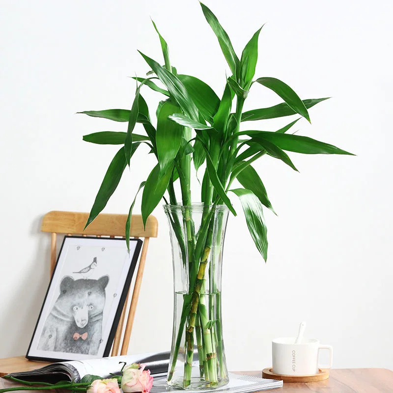 Стеклянная ваза скандинавского дизайна Европейское украшение для дома