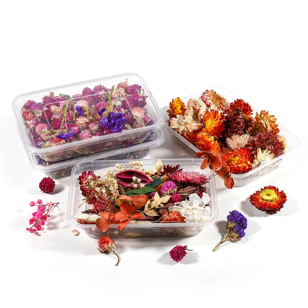 

1 Box Real Dried Flower Resin Mold Fillings UV Expoxy Flower Epoxy Resin Molds Craft for DIY Jewelry Making Supplies Accessories