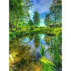 Алмазная вышивка 5D 