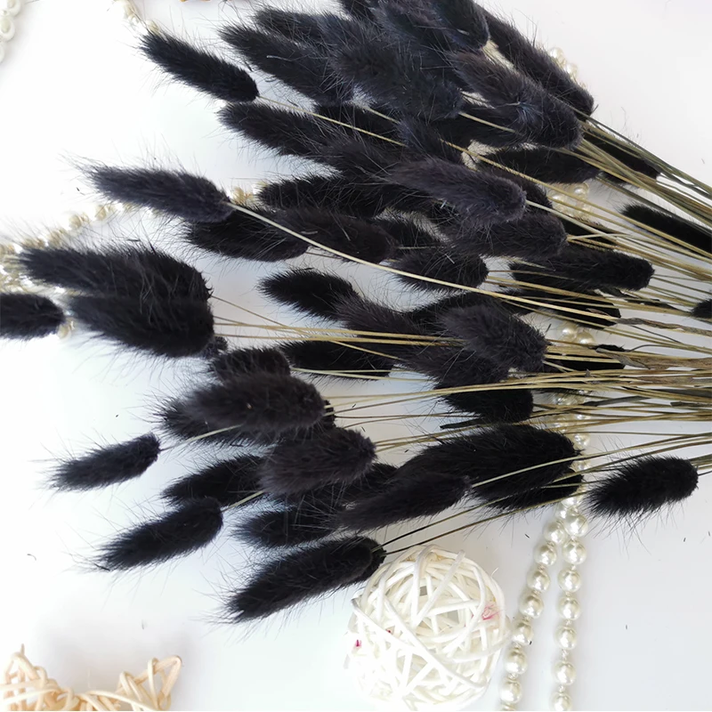 Трава сушеная из натурального пампаса трава черного кролика свадебные украшения