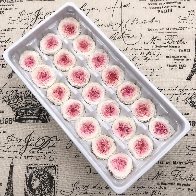 

New 21PCs/Box Preserved Fresh Flower Austin Rose Immortal Real flowers Rose In Box Party Decorations Wedding Home Decor Class A