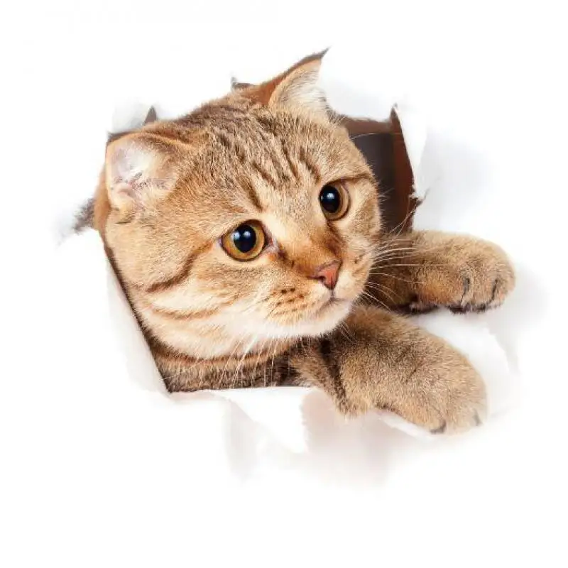 Милые кошки 3D DIY ПВХ Стикеры s Ванная комната стены вставка для унитаза декорации